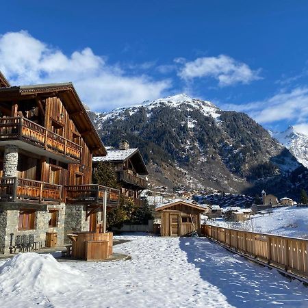 Chalet Des Trappeurs Coeur Vanoise 15 Persons La Plagne Exterior photo