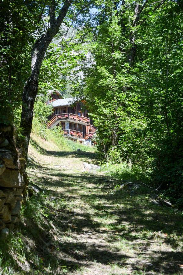 Chalet Des Trappeurs Coeur Vanoise 15 Persons La Plagne Exterior photo