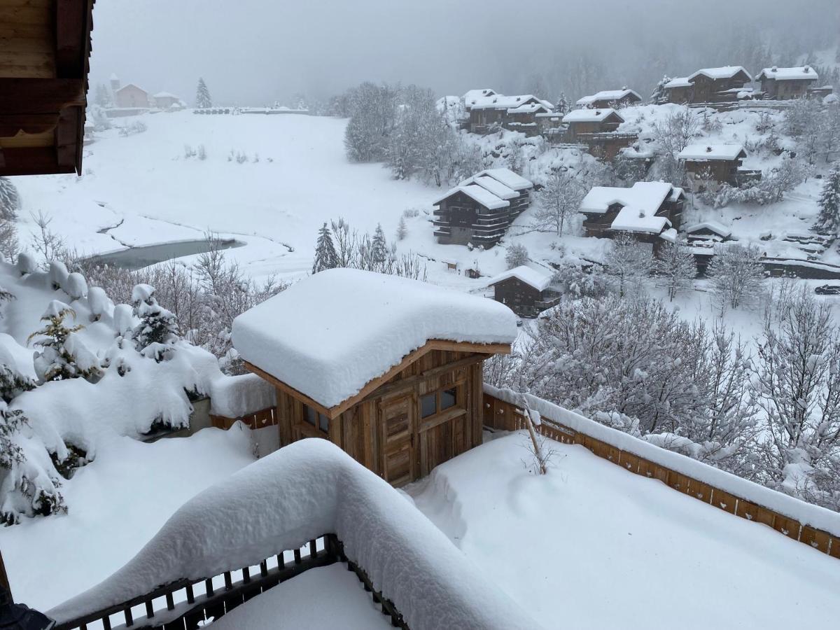 Chalet Des Trappeurs Coeur Vanoise 15 Persons La Plagne Exterior photo